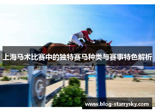 上海马术比赛中的独特赛马种类与赛事特色解析